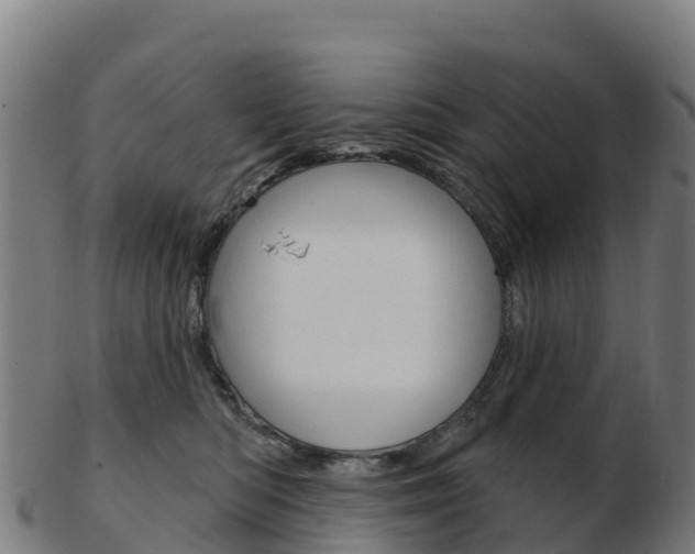 X0000103460422200809121102