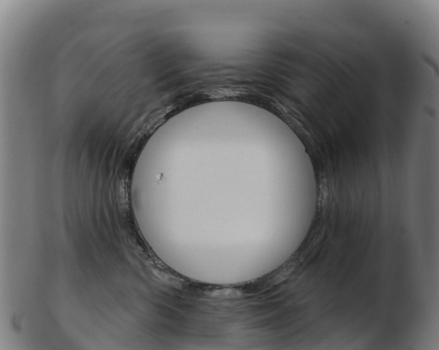 X0000103460426200809121102