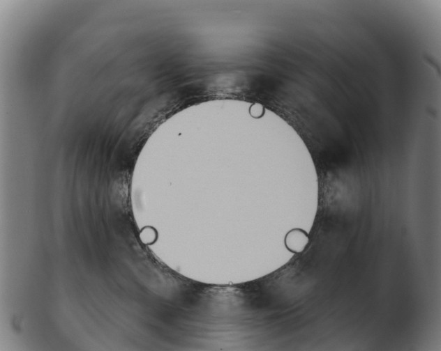 X0000103460427200809121102