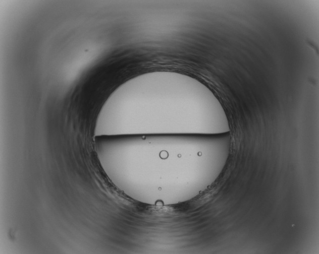 X0000103460429200809121102