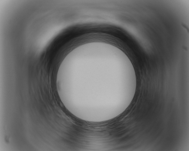 X0000103460431200809121102