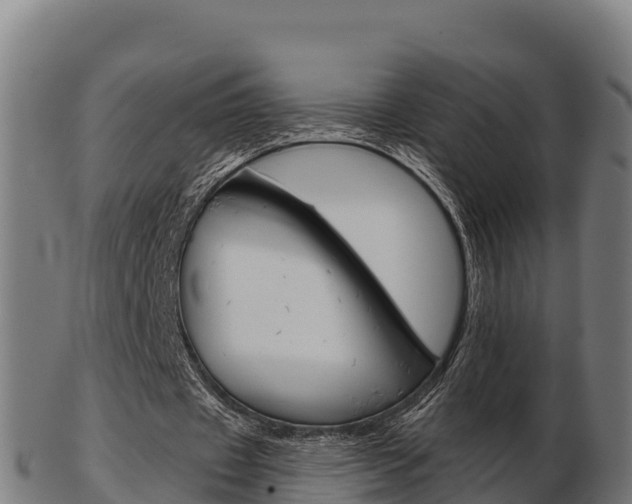 X0000103460433200809121101