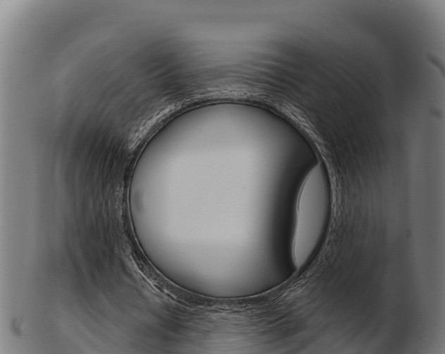 X0000103460434200809121101