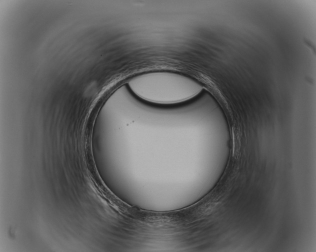 X0000103460435200809121101