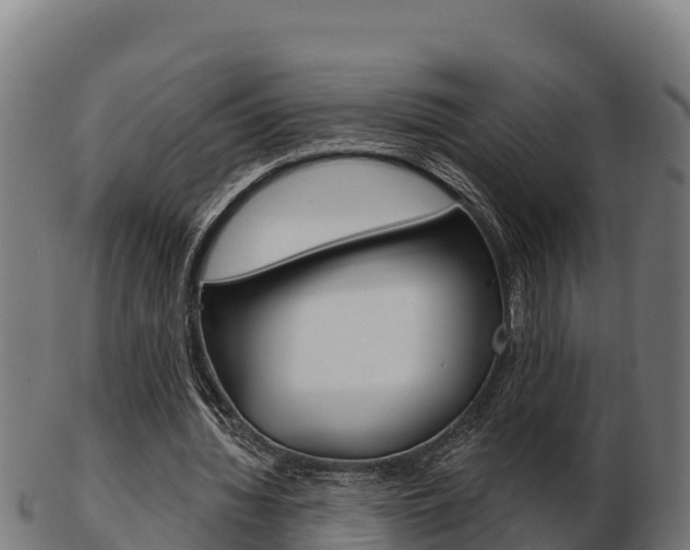 X0000103460436200809121101
