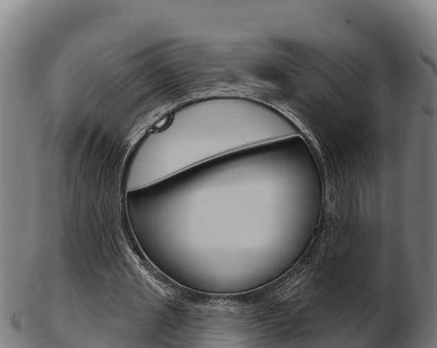 X0000103460437200809121101