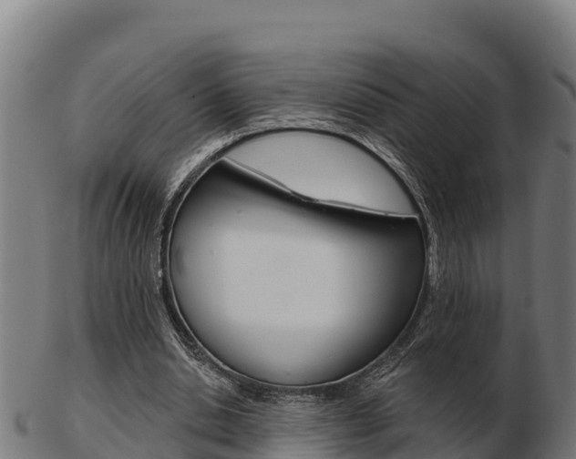 X0000103460438200809121101