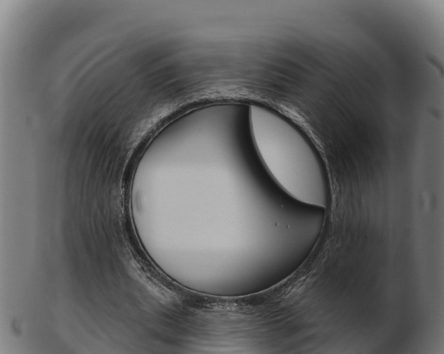 X0000103460439200809121101