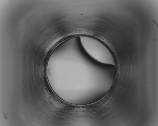 X0000103460440200809121101