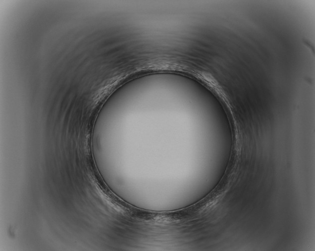 X0000103460441200809121101
