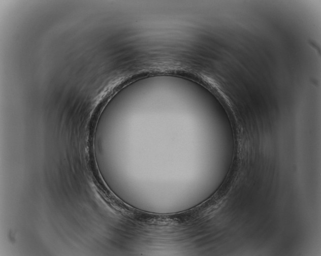 X0000103460443200809121101