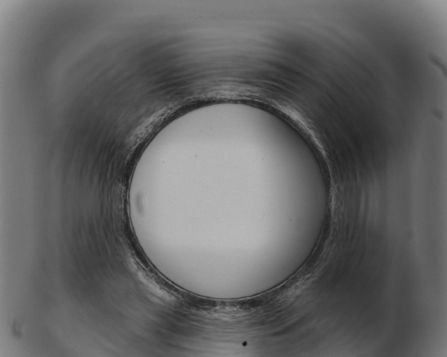X0000103460445200809121101