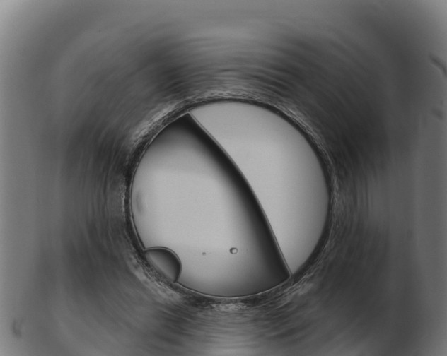 X0000103460446200809121101