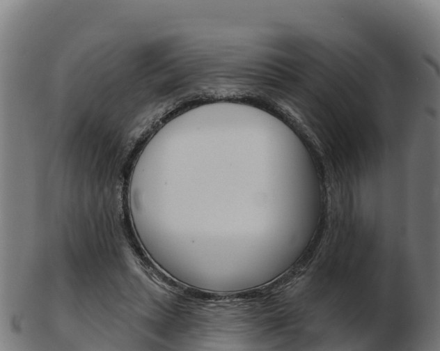 X0000103460447200809121101