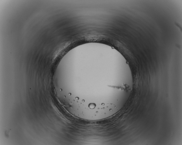 X0000103460448200809121101
