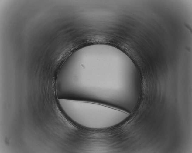 X0000103460449200809121101