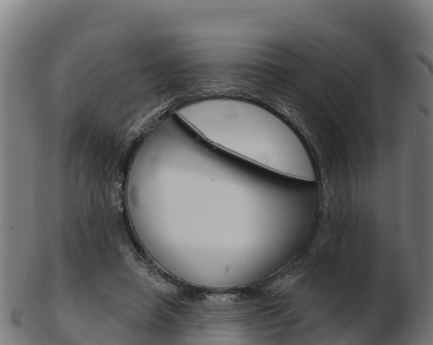 X0000103460450200809121101