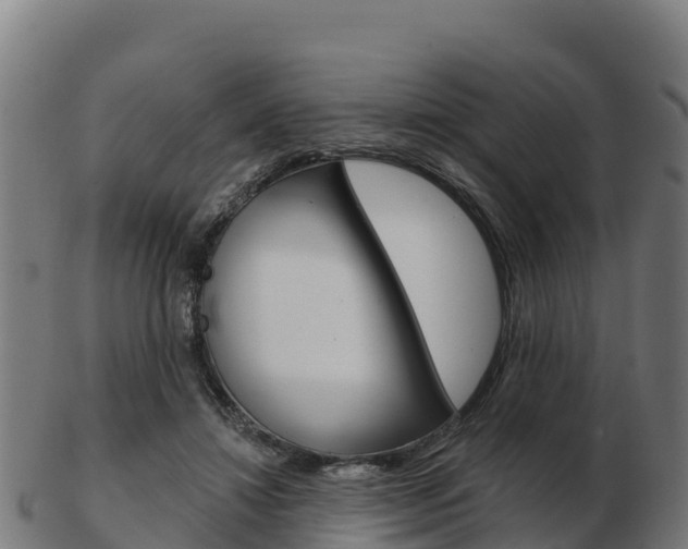X0000103460452200809121101