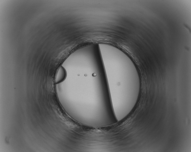 X0000103460453200809121101