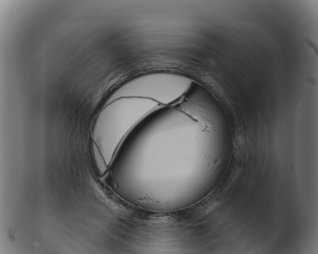 X0000103460454200809121101