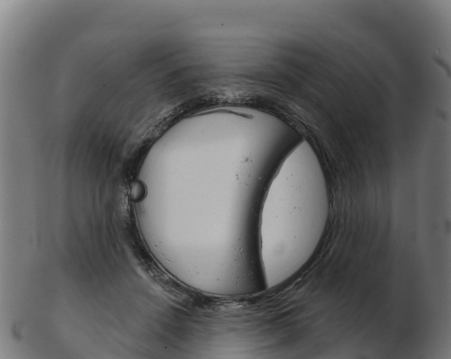 X0000103460456200809121101