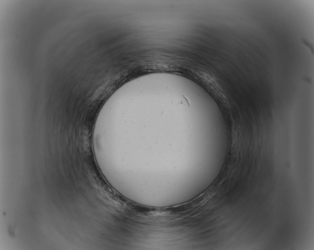 X0000103460457200809121101