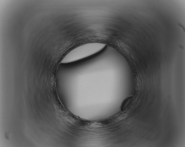 X0000103460463200809121101