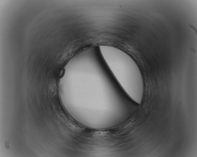 X0000103460465200809121101