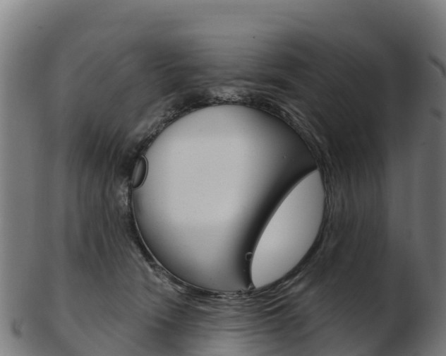 X0000103460466200809121101