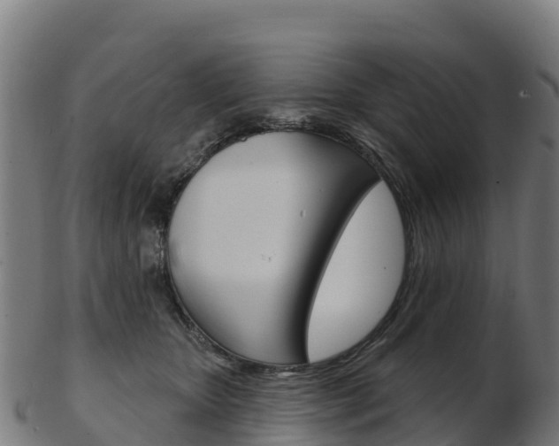 X0000103460467200809121101