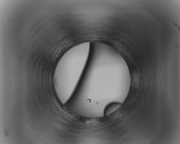 X0000103460470200809121101
