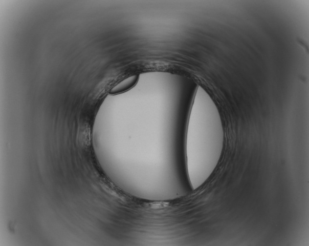 X0000103460474200809121101