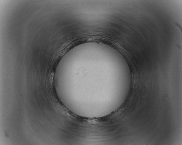 X0000103460475200809121101