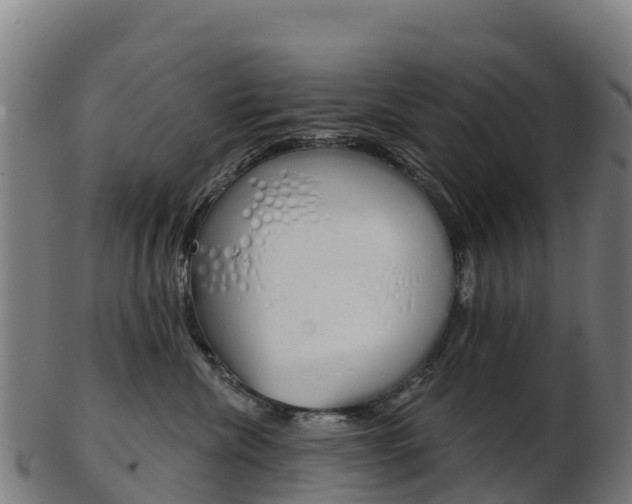 X0000103460476200809121101