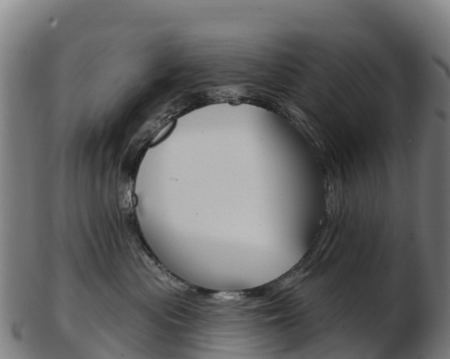 X0000103460477200809121101