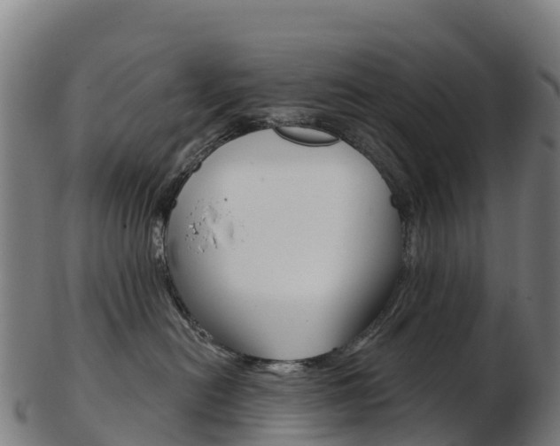 X0000103460478200809121101