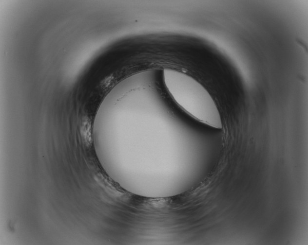 X0000103460479200809121101