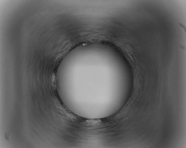 X0000103460480200809121101