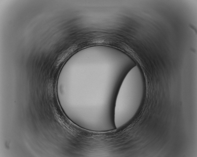 X0000103460482200809121101