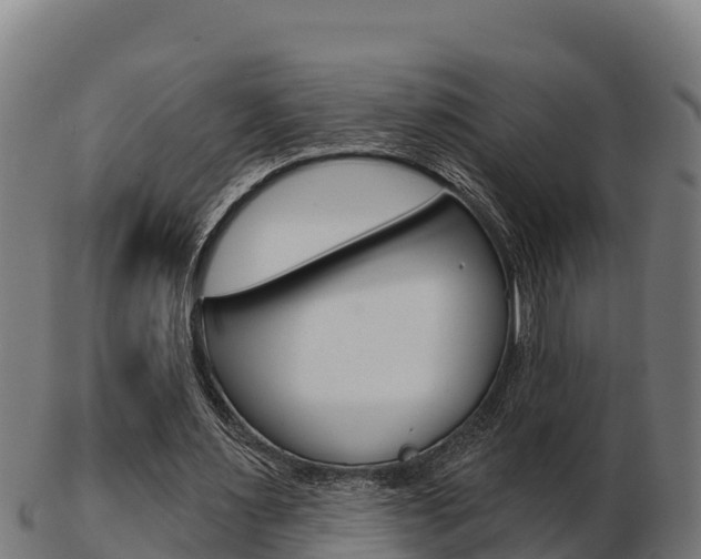 X0000103460483200809121101