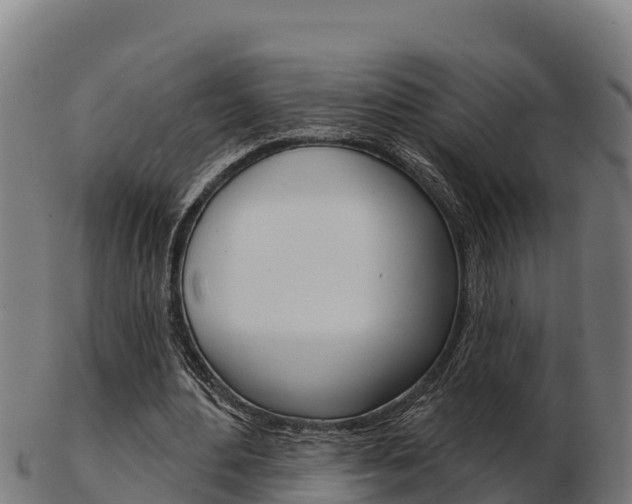 X0000103460484200809121101
