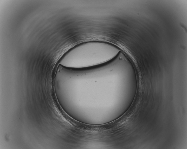 X0000103460485200809121101