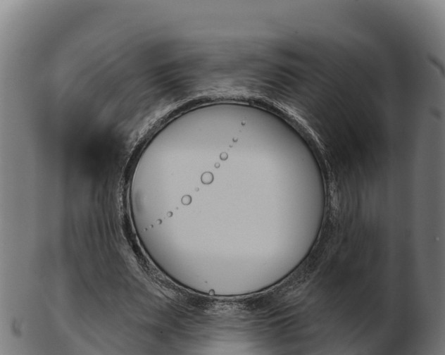 X0000103460487200809121101