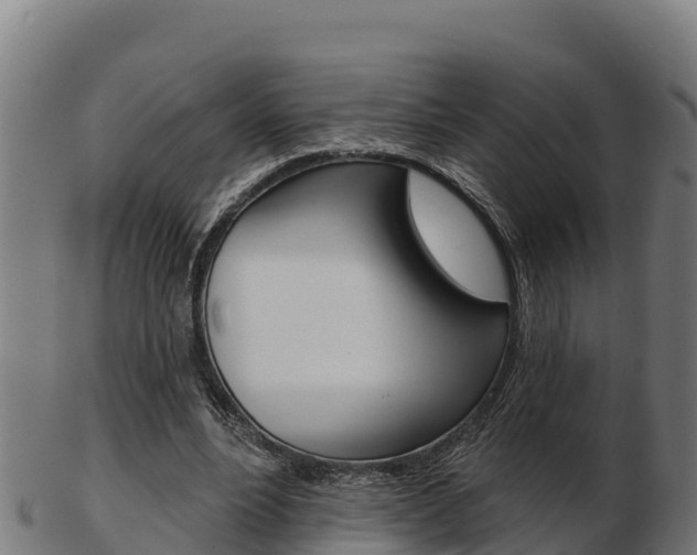 X0000103460488200809121101