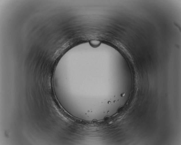 X0000103460489200809121101