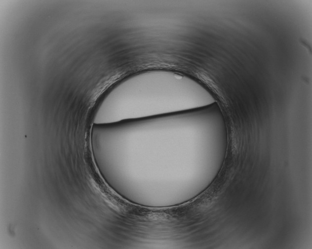 X0000103460490200809121101