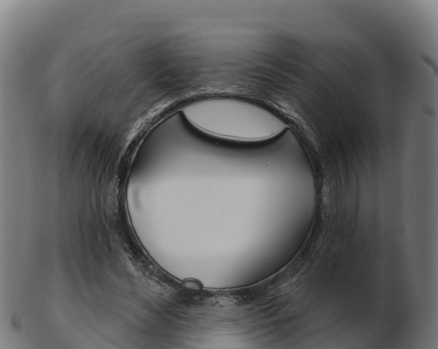 X0000103460492200809121101