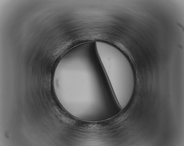 X0000103460493200809121101
