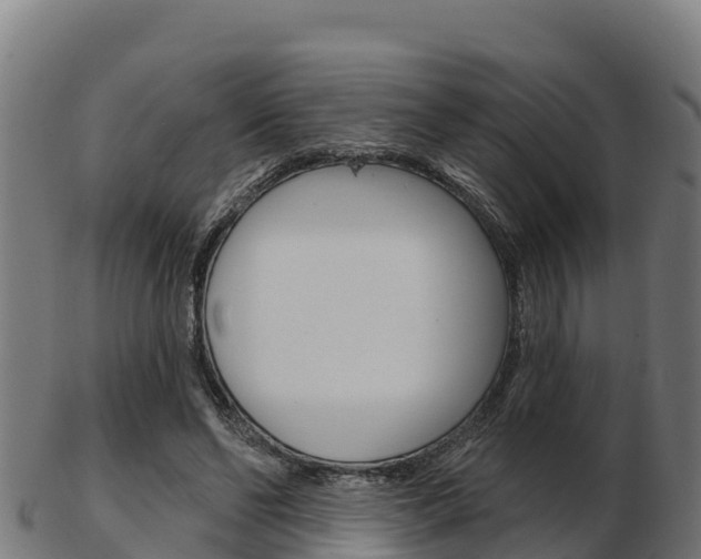X0000103460494200809121101