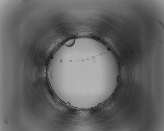 X0000103460495200809121101